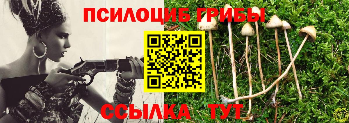Михайловск  Псилоцибиновые грибы прущие грибы  Вход с VPN 
